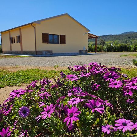 Agriturismo Fusini มาลียาโน อิน ตอสกานา ภายนอก รูปภาพ
