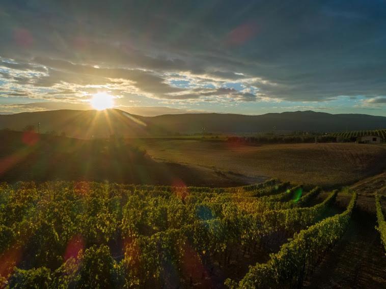 Agriturismo Fusini มาลียาโน อิน ตอสกานา ภายนอก รูปภาพ