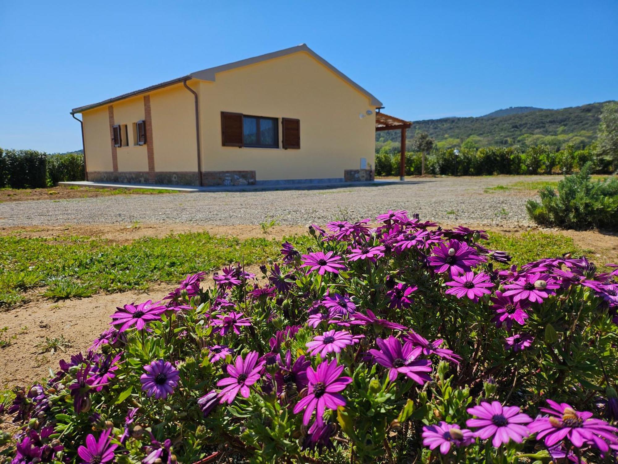 Agriturismo Fusini มาลียาโน อิน ตอสกานา ภายนอก รูปภาพ