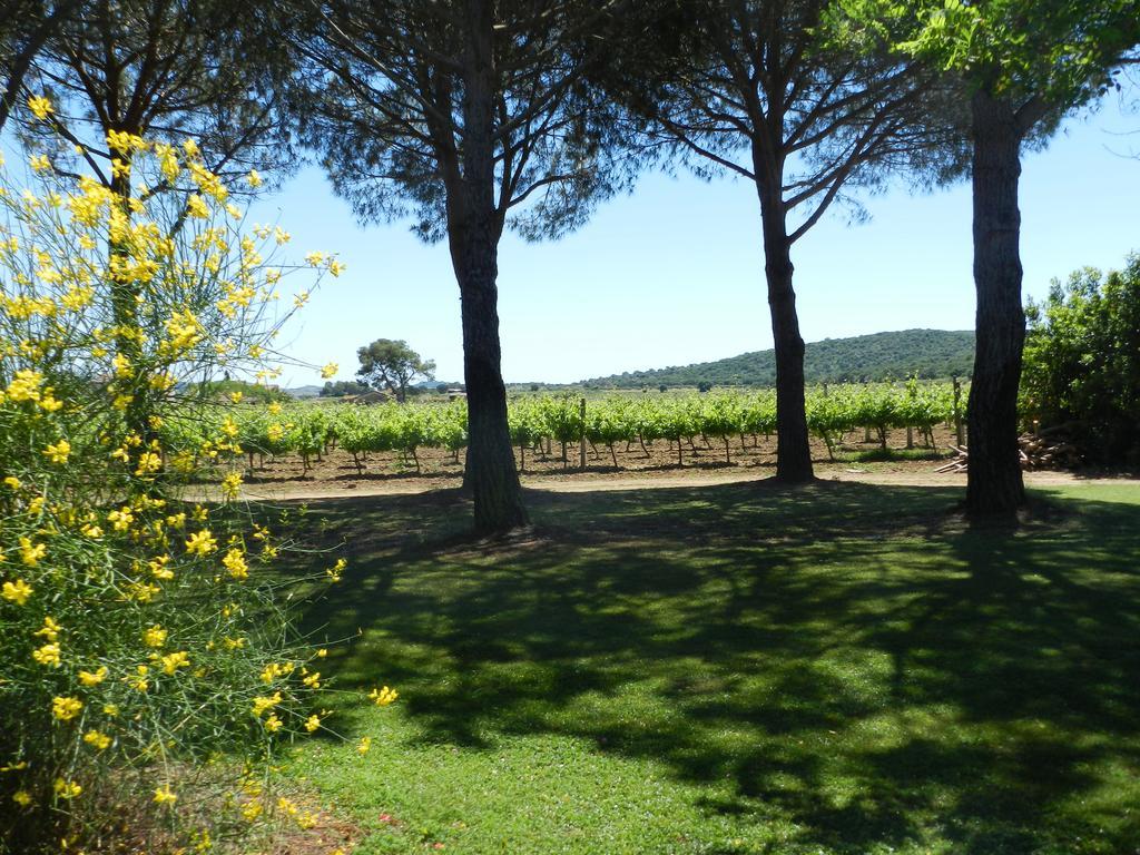 Agriturismo Fusini มาลียาโน อิน ตอสกานา ภายนอก รูปภาพ