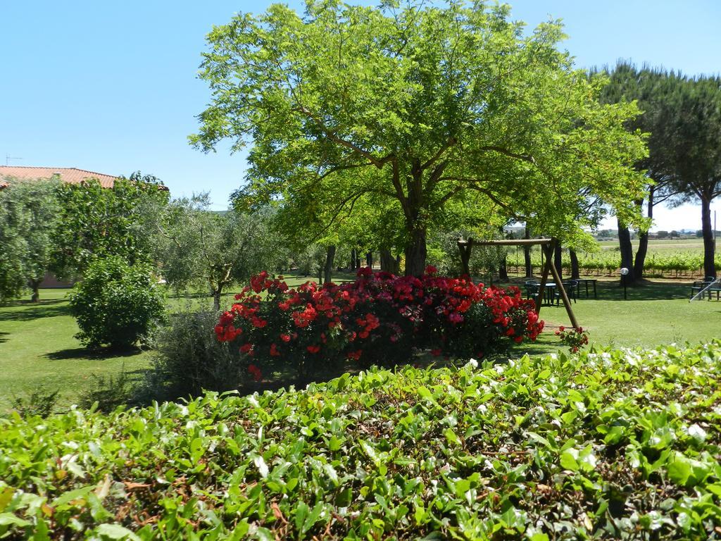 Agriturismo Fusini มาลียาโน อิน ตอสกานา ภายนอก รูปภาพ