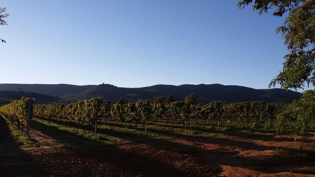 Agriturismo Fusini มาลียาโน อิน ตอสกานา ภายนอก รูปภาพ