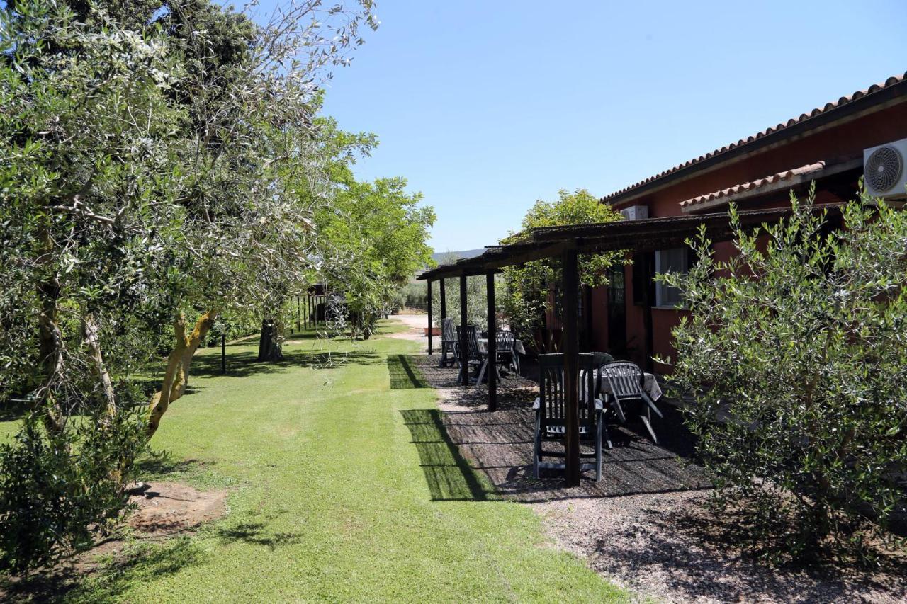 Agriturismo Fusini มาลียาโน อิน ตอสกานา ภายนอก รูปภาพ